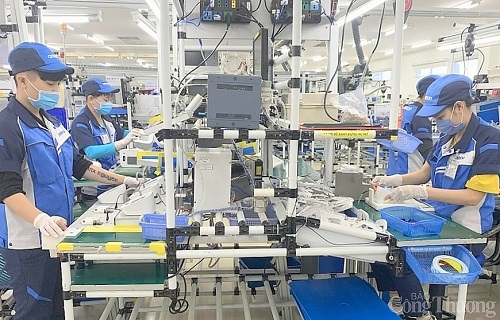 Hợp tác thúc đẩy phát triển kinh tế xanh và bền vững