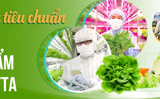[E-magazine] Đáp ứng tiêu chuẩn an toàn thực phẩm theo EVFTA
