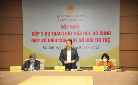 Hệ thống pháp luật về sở hữu trí tuệ của Việt Nam