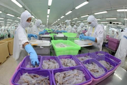 Xuất khẩu tôm sang Úc liên tục tăng trưởng mạnh