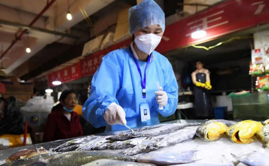 Trung Quốc hủy quy trình xét nghiệm COVID đối với thủy sản nhập khẩu