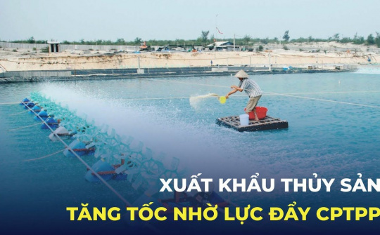 Xuất khẩu thủy sản tăng tốc nhờ lực đẩy CPTPP