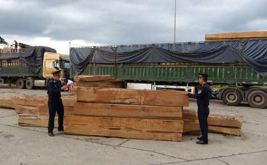 Cục Hải quan Quảng Nam:  Vượt chỉ tiêu về thu ngân sách năm 2022