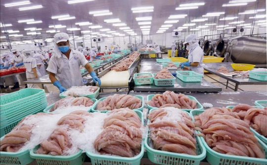 Tiềm năng xuất khẩu nông thủy sản - thực phẩm Việt Nam sang Nhật Bản trong năm 2022