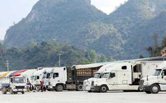 Lạng Sơn tạm dừng tiếp nhận phương tiện chở hoa quả tươi xuất khẩu từ ngày 16/2