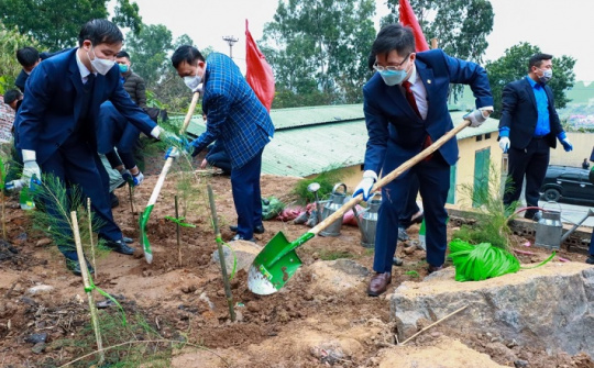 Than Thống Nhất sẽ trồng mới 5.000 cây xanh trong năm 2022