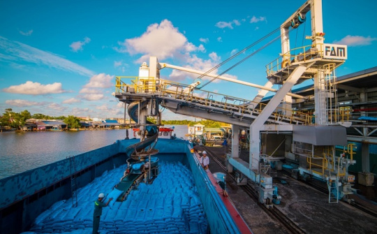 Phân bón Cà Mau: Chủ động xuất khẩu trong thời gian thấp vụ trong nước và dư thừa nguồn cung urê