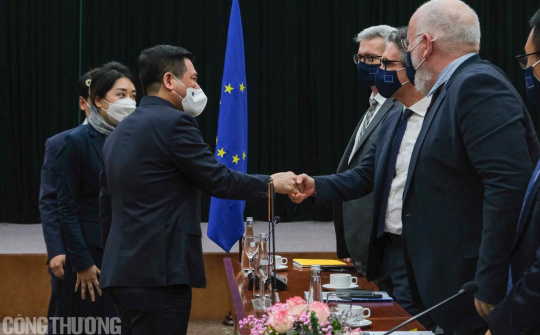 Thúc đẩy hợp tác Việt Nam - EU về năng lượng và thương mại