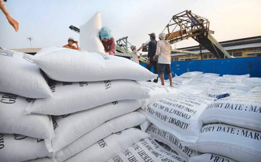 Xuất khẩu gạo tăng mạnh ngay tháng đầu năm