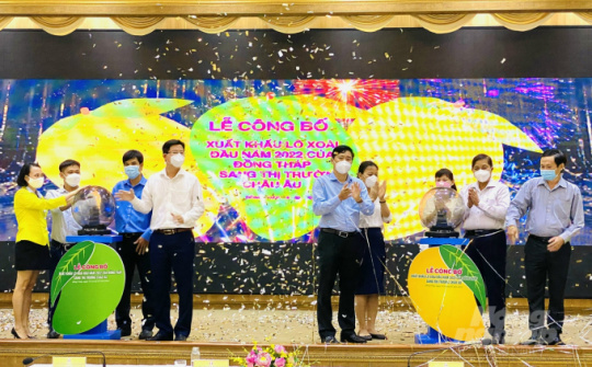 Đồng Tháp xuất khẩu 3 tấn xoài Cát Chu sang châu Âu