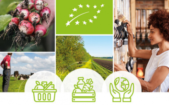 Đan Mạch hướng dẫn thực hiện Quy định hữu cơ mới của EU