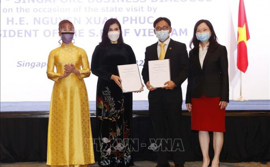 Doanh nghiệp Việt Nam, Singapore cam kết hợp tác trị giá gần 11 tỷ USD