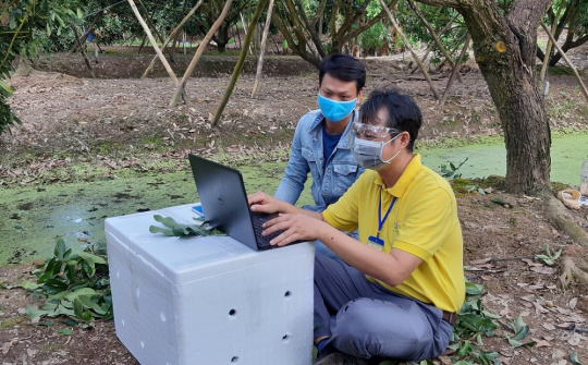 Thúc đẩy tiêu thụ nông sản qua sàn thương mại điện tử