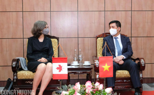 Việt Nam - Canada: Tạo điều kiện thuận lợi thúc đẩy hợp tác thương mại - đầu tư song phương