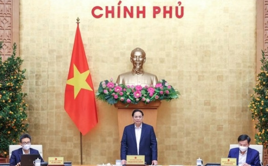 Phấn đấu đạt kết quả cao nhất các mục tiêu, chỉ tiêu của năm 2022