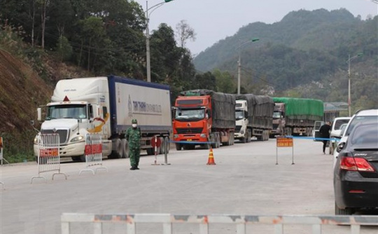 Lạng Sơn: Trên 100 xe nông sản thông quan trong vòng 1 ngày qua
