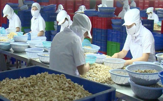 Tiêu thụ hạt điều tăng nhờ xu hướng sử dụng thực phẩm tốt cho sức khỏe