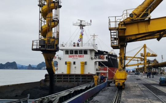 TKV: 330 nghìn tấn than đã được tiêu thụ trong kỳ nghỉ Tết Nhâm Dần