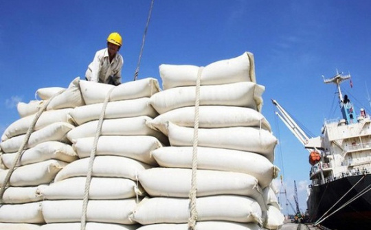 Đấu giá hạn ngạch thuế quan nhập khẩu đường bảo đảm minh bạch, bình đẳng