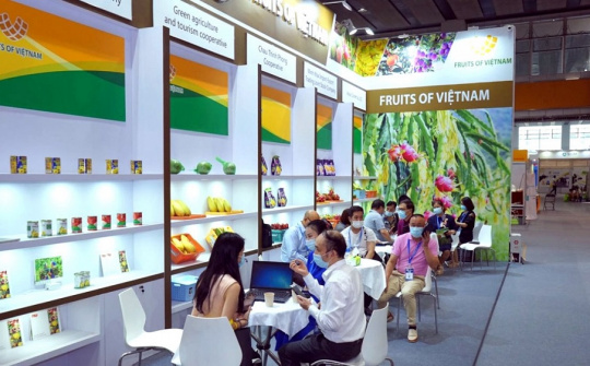 Xúc tiến thương mại trên môi trường số: Hỗ trợ doanh nghiệp giao thương hiệu quả trong tình hình mới