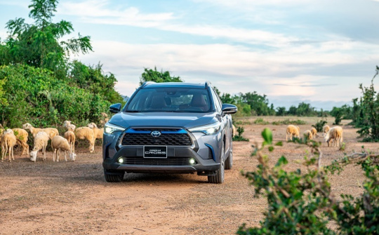 Corolla Cross và Vios top 10 xe bán chạy tháng 2
