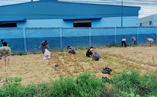 Tuổi trẻ VINACHEM: Thiết thực hưởng ứng “Ngày Chủ nhật Xanh” năm 2022