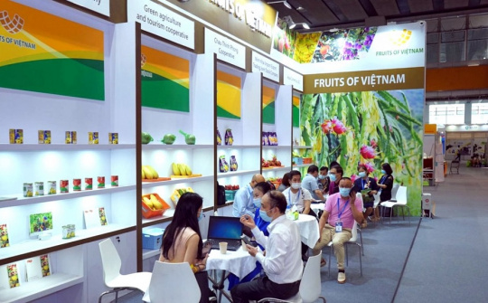 Triển khai chuỗi Hội nghị giao ban xúc tiến thương mại với các thị trường ngoài nước năm 2022
