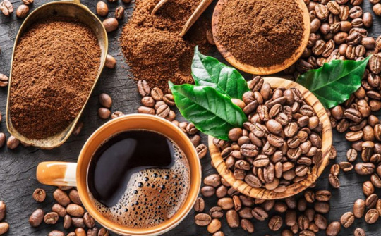 EU khuyến nghị kiểm soát dư lượng Furan và Alkylfurans trong thực phẩm
