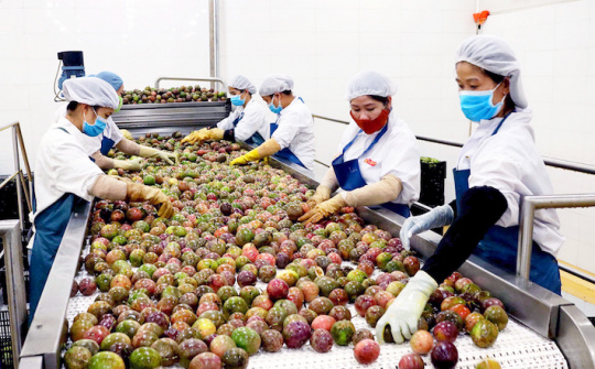 Xuất khẩu nông sản sang Nhật Bản: Linh hoạt đáp ứng những thay đổi của thị trường