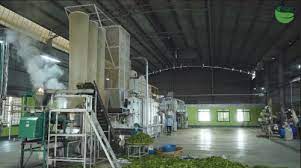 Tình hình quản lý sử dụng và giải pháp tiết kiệm năng lượng tại Công ty Vietnam Tea - Công ty TNHH Thế hệ Mới