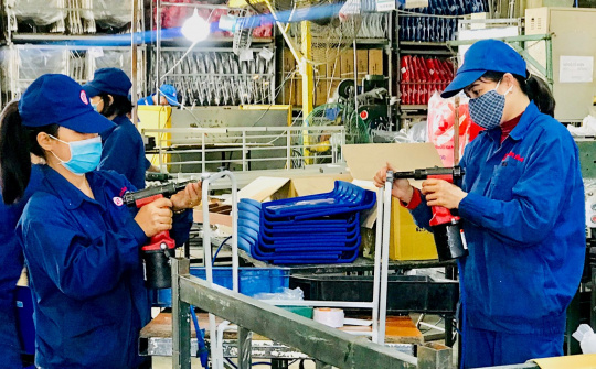 Kết nối giao thương doanh nghiệp công nghiệp chế biến, chế tạo Việt Nam - Ấn Độ