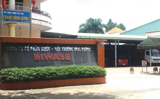 Nhận diện các yếu tố ảnh hưởng đến trải nghiệm thương hiệu tại Công ty Cổ phần Nước - Môi trường Bình Dương (BIWASE)