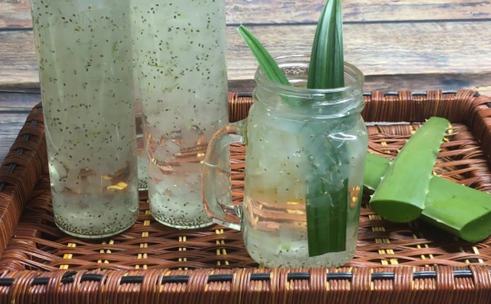 Nghiên cứu sản xuất nước nha đam (aloe vera) và hạt chia (salvia hispanica) đóng chai