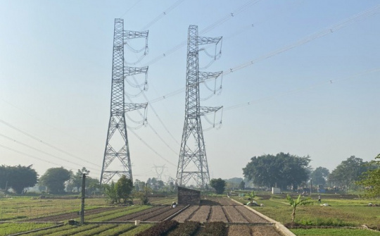 Đường dây 500/220kV Nho Quan - Phủ Lý - Thường Tín: Nút thắt nào đang cản trở tiến độ dự án?
