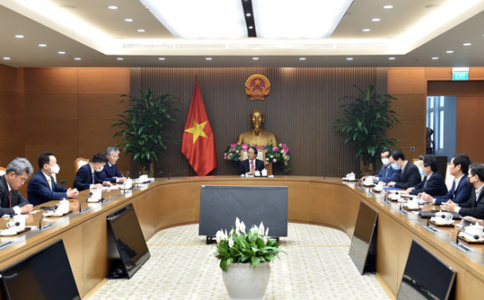 Nhật Bản nghiên cứu, phát triển điện sinh khối tại Việt Nam