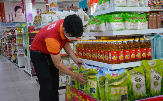 Satra ra mắt sản phẩm gạo ST25 lúa - tôm