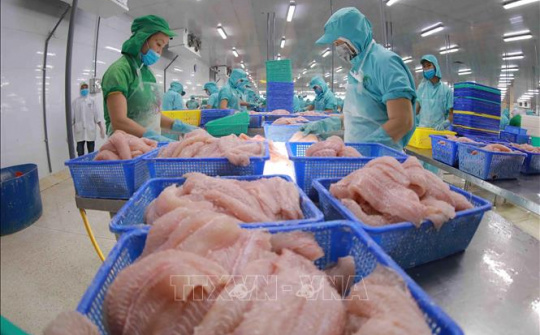 Chủ động ứng phó rào cản thương mại