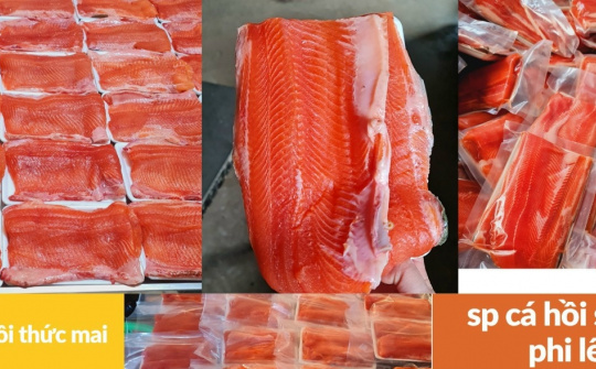 Hướng tới chế biến sâu mặt hàng cá Hồi, cá Tầm Lào Cai