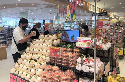 Tư vấn, hỗ trợ xuất khẩu nông sản, thực phẩm sang Nhật Bản