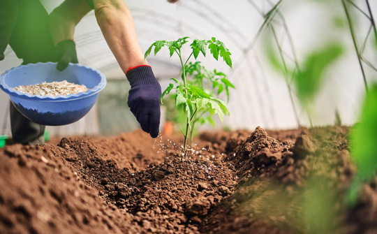 Ngân hàng Thế giới: Giá phân bón sẽ còn neo ở mức cao kỷ lục thời gian tới