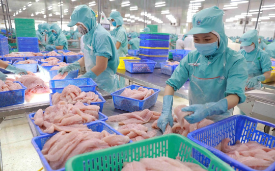 Xuất khẩu cá tra sang Canada tăng hơn 69%
