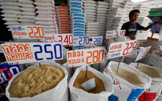 Giá gạo nội địa tăng 25% khiến Thái Lan lo ngại giảm sức cạnh tranh trên thị trường xuất khẩu