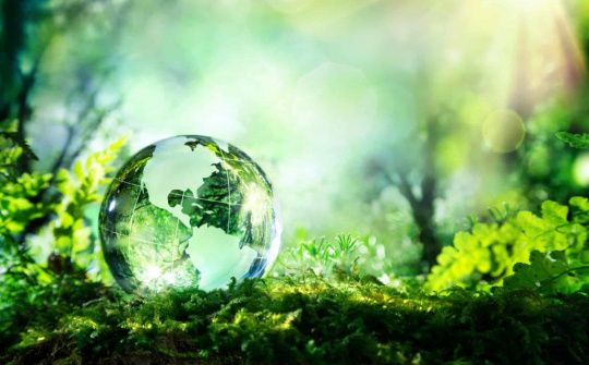 Bộ Công Thương kêu gọi thiết thực triển khai các hoạt động hưởng ứng Ngày Môi trường thế giới