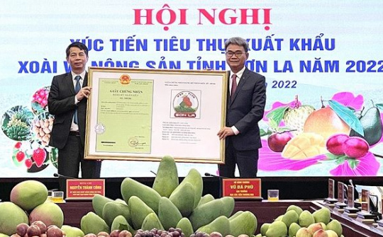 3 sản phẩm nông sản tỉnh Sơn La được cấp giấy chứng nhận đăng ký nhãn hiệu