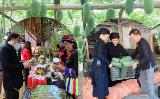 Bắc Kạn: Xúc tiến tiêu thụ Bí xanh thơm, sản phẩm OCOP