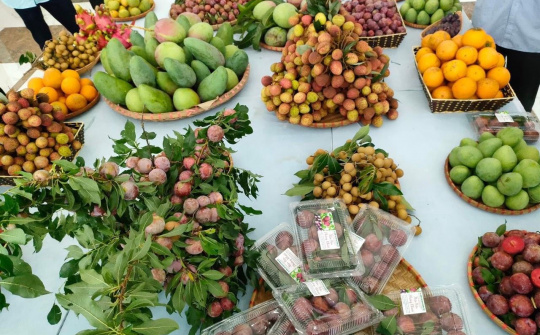 Phân phối nông sản chính vụ trên các nền tảng trực tuyến đã dần bài bản