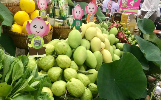 Sắp diễn ra Hội nghị giao thương Việt Nam - Lào và Việt Nam - Campuchia