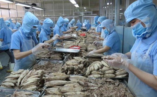 Hỗ trợ doanh nghiệp thủy sản Việt Nam tìm kiếm đối tác tại thị trường RCEP