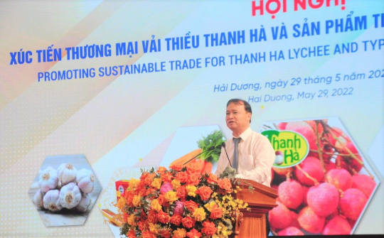 Đẩy mạnh xúc tiến thương mại vải thiều và sản phẩm tiêu biểu tỉnh Hải Dương