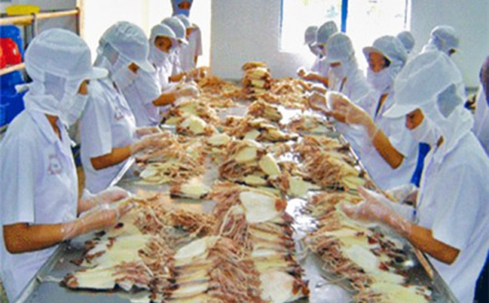 Quý I/2022, xuất khẩu mực chế biến tăng 99% so cùng kỳ